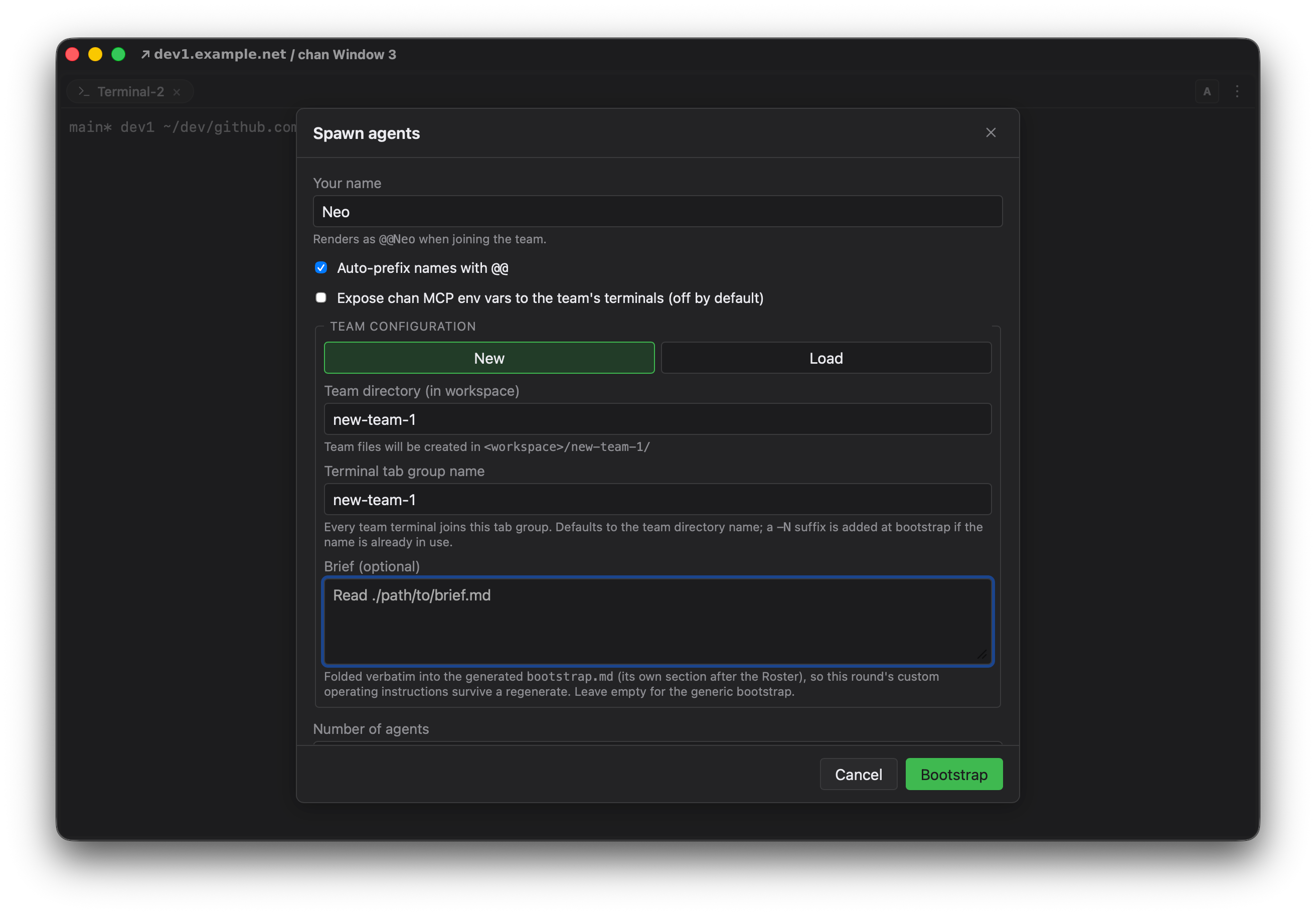 The Spawn agents dialog creating a new team: your name, the team directory in the workspace, the terminal tab group, and an optional brief